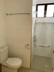 Tanglin Park (D10), Condominium #602101371